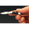 Нож COLD STEEL CHARM CS_54VPL